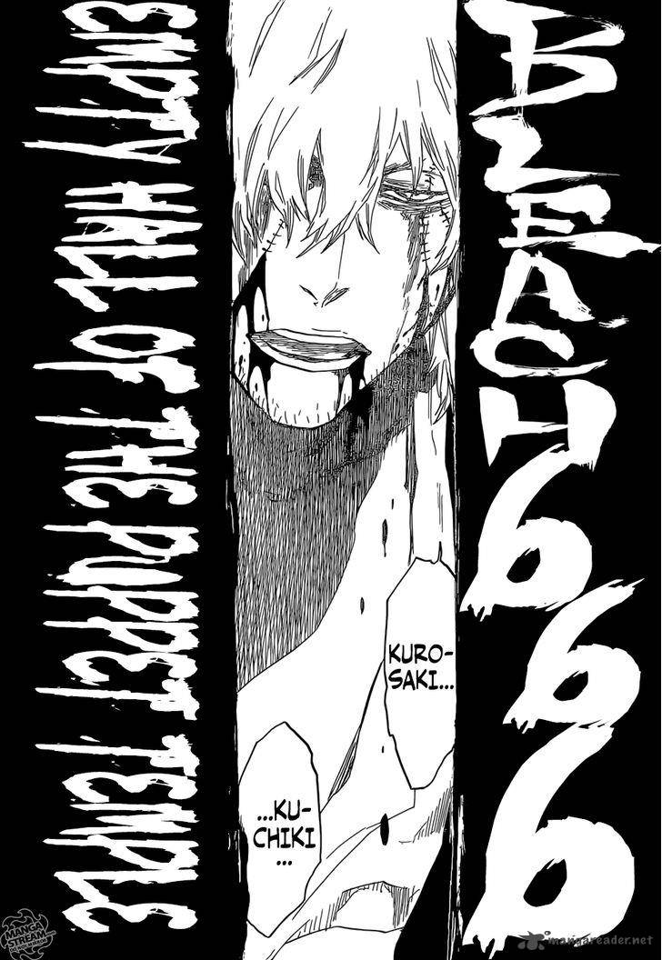 Bleach 666 14