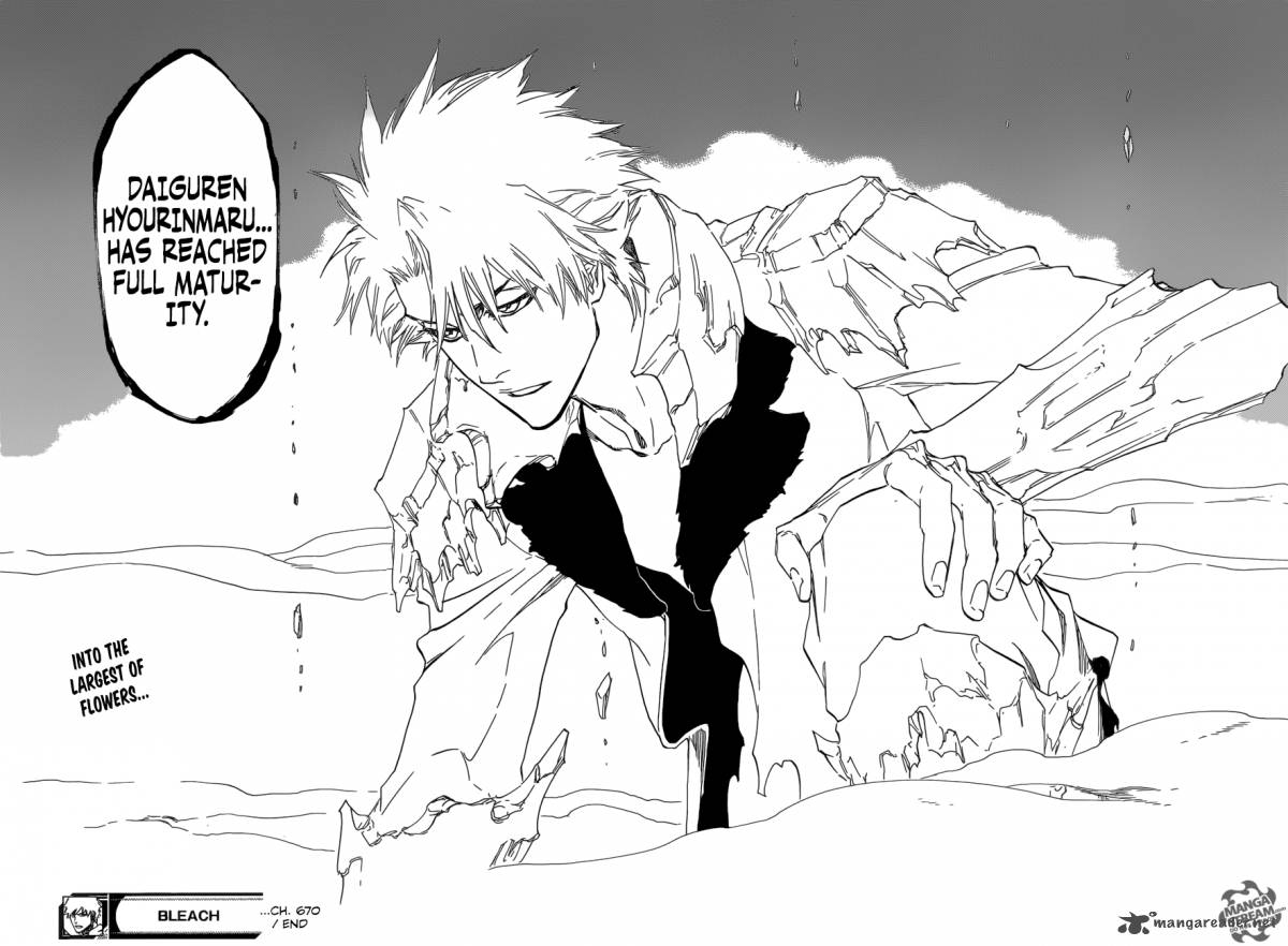 Bleach 670 17