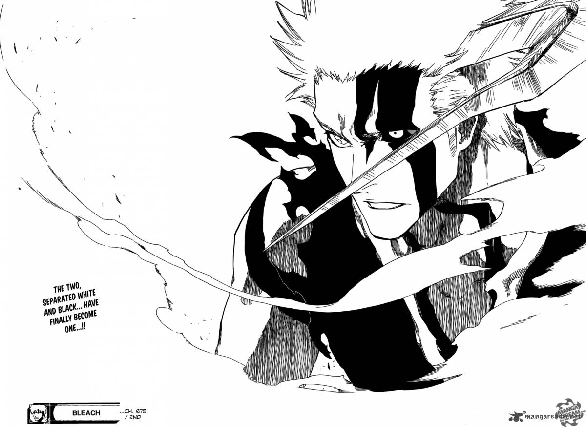 Bleach 675 18