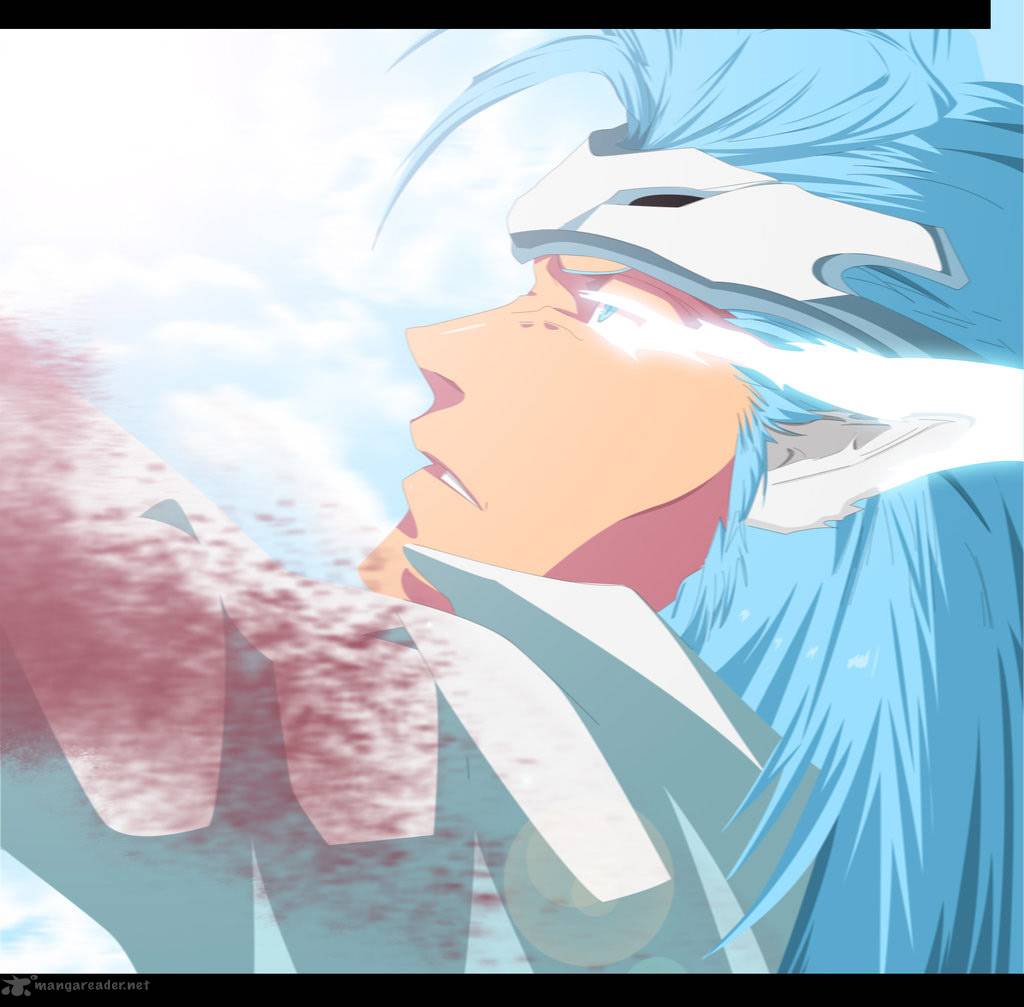 Bleach 676 17