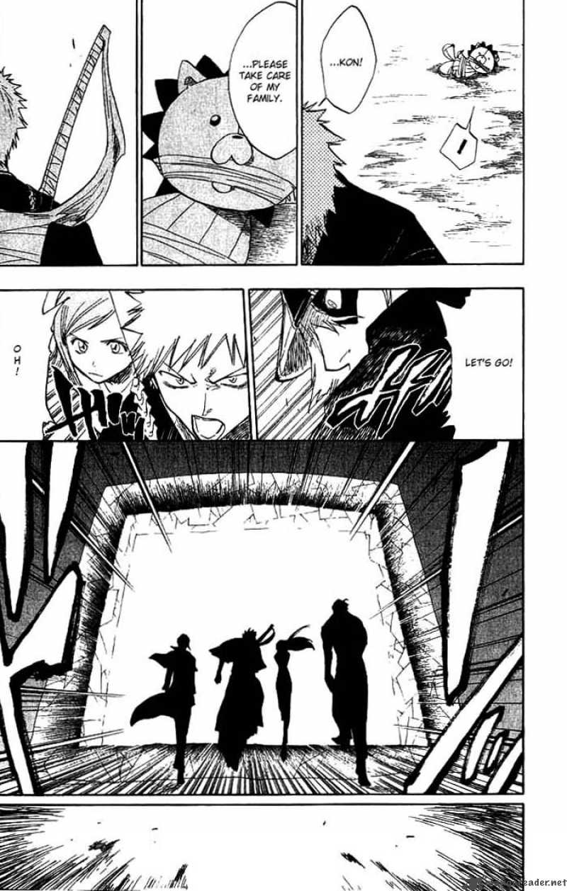 Bleach 70 14