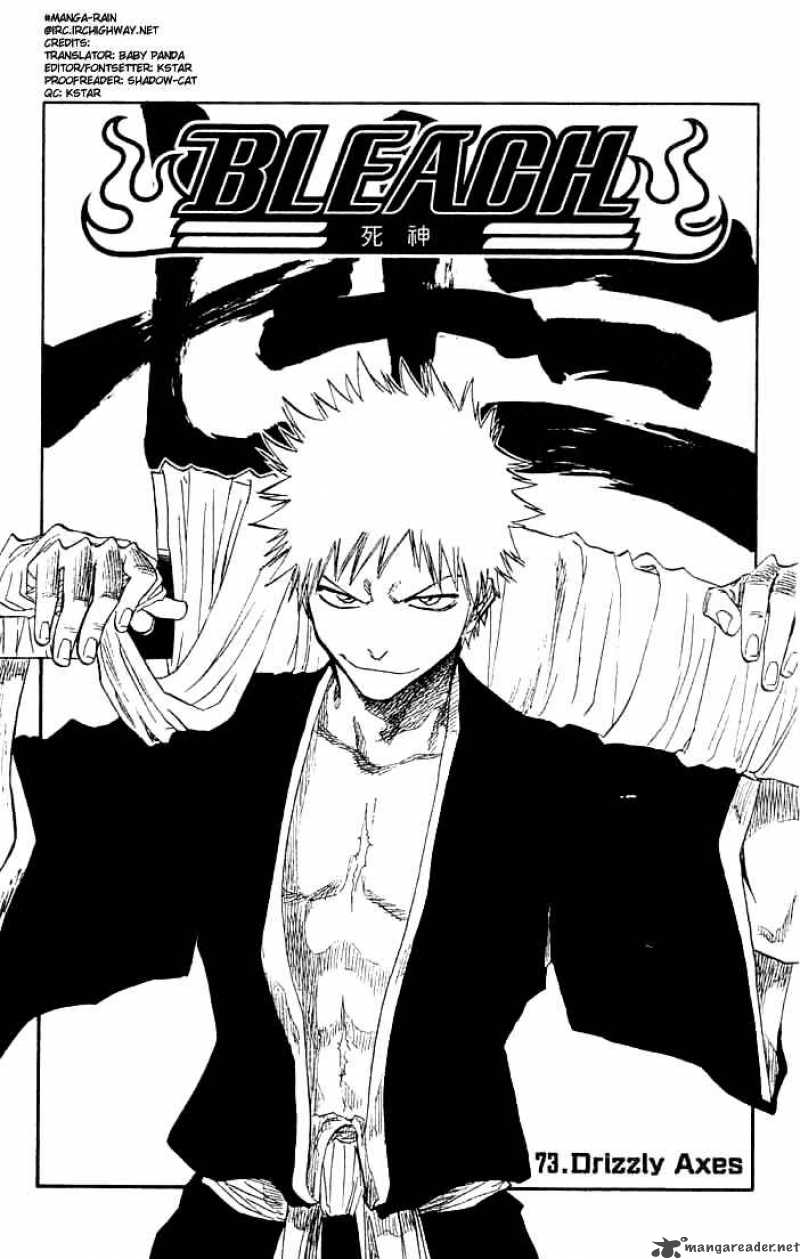 Bleach 73 5