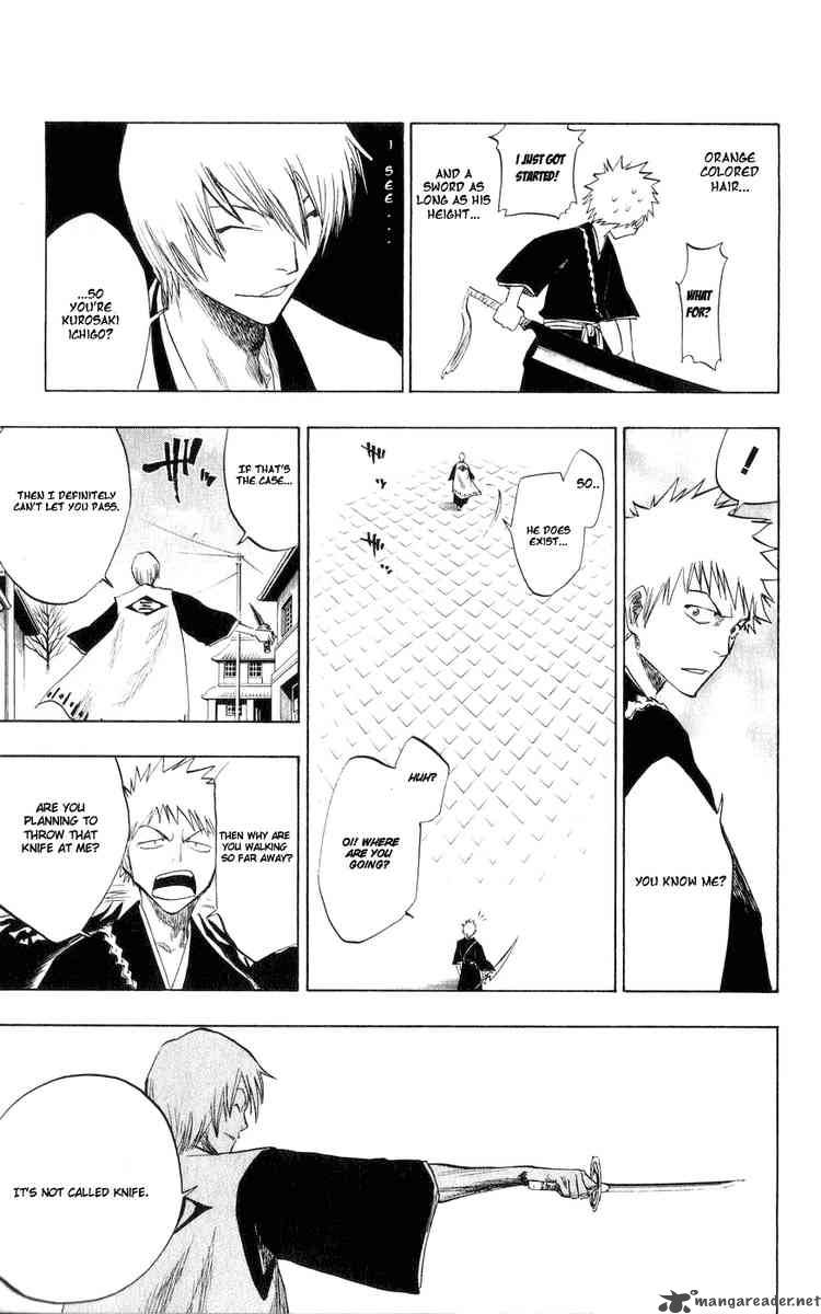 Bleach 75 13