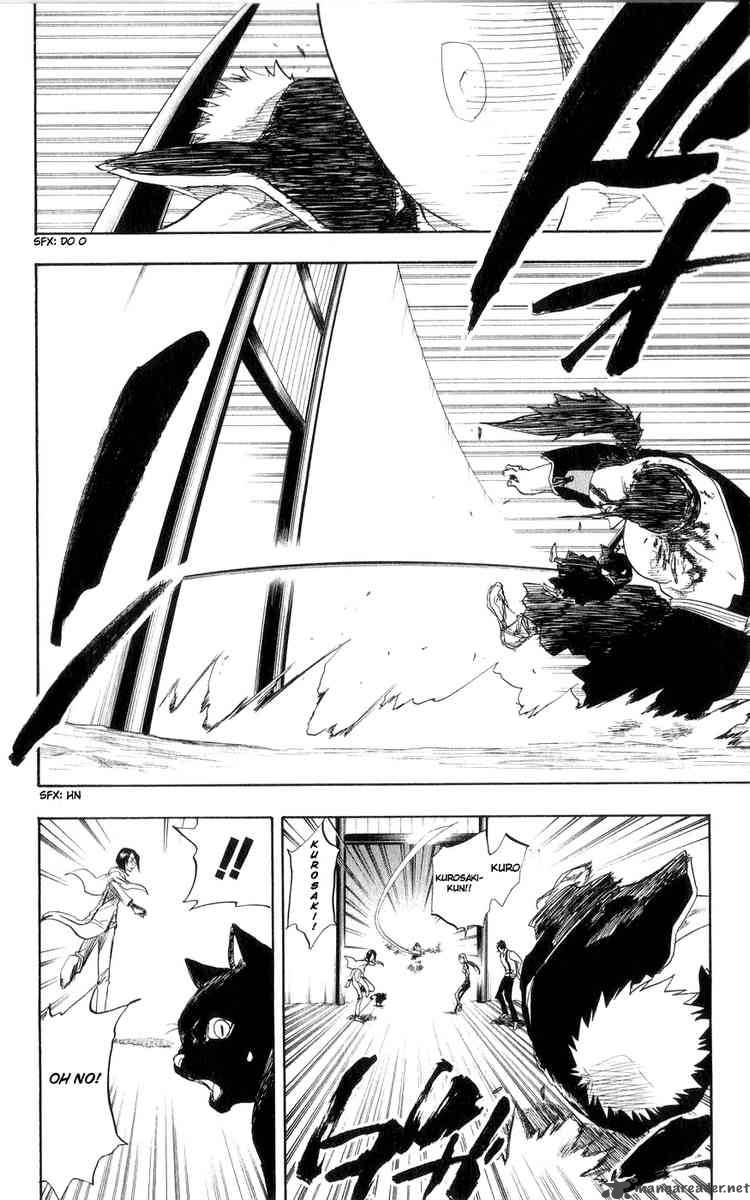 Bleach 75 17