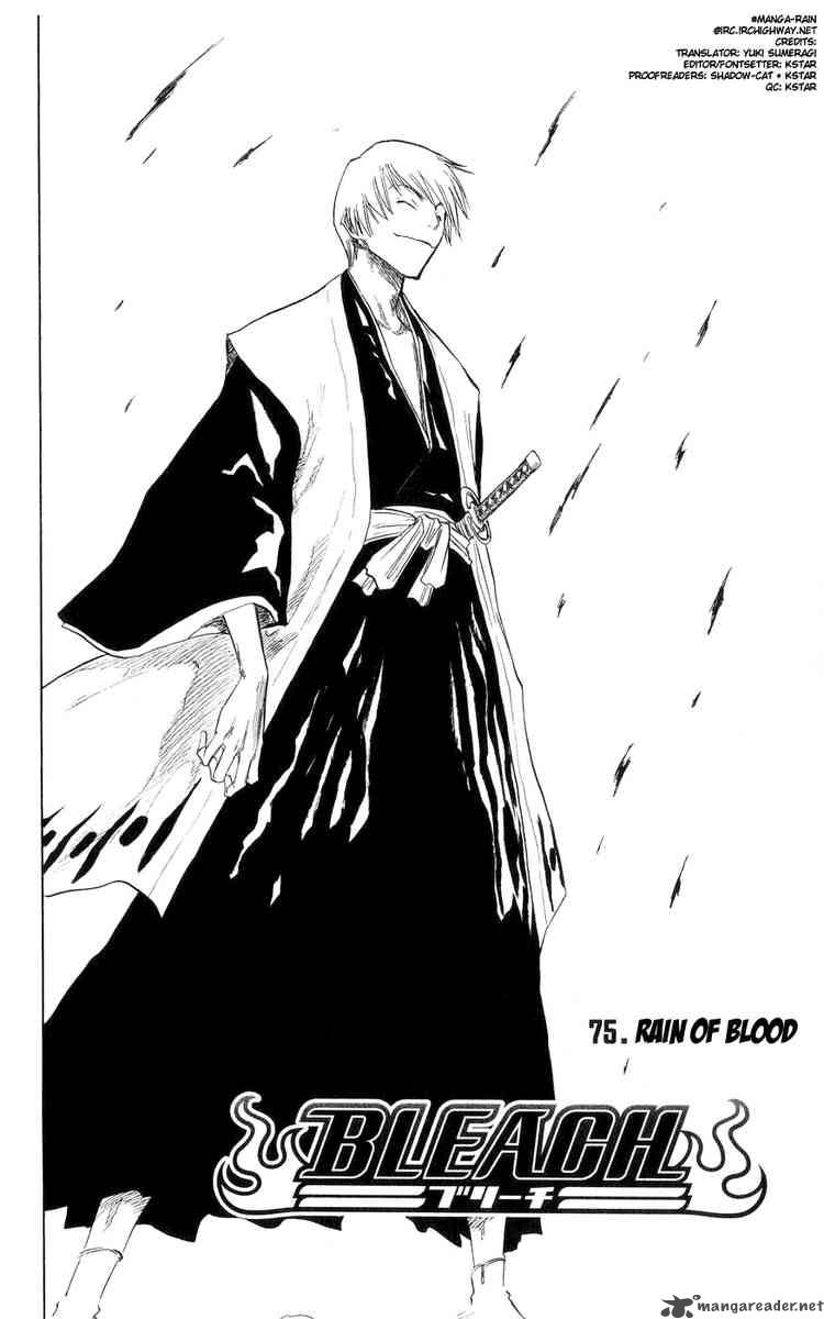 Bleach 75 4