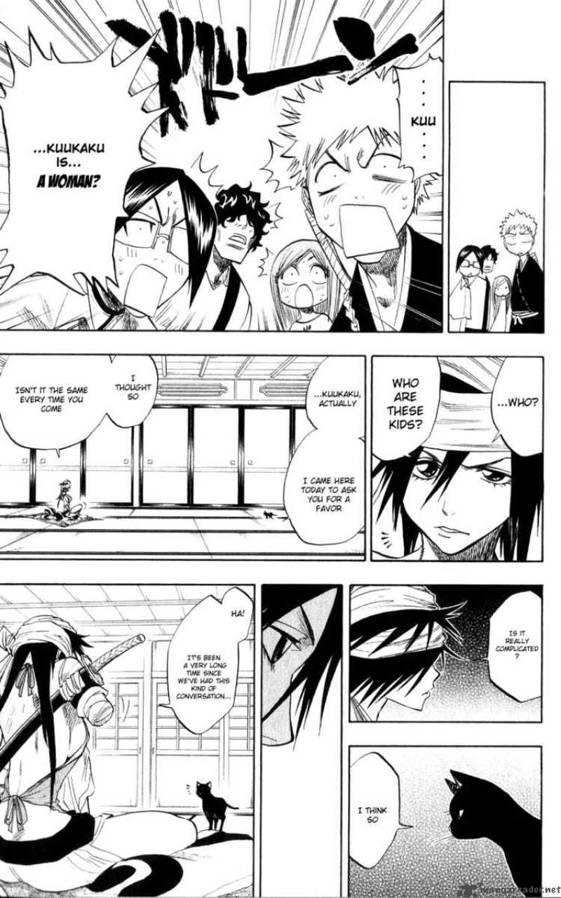 Bleach 78 15