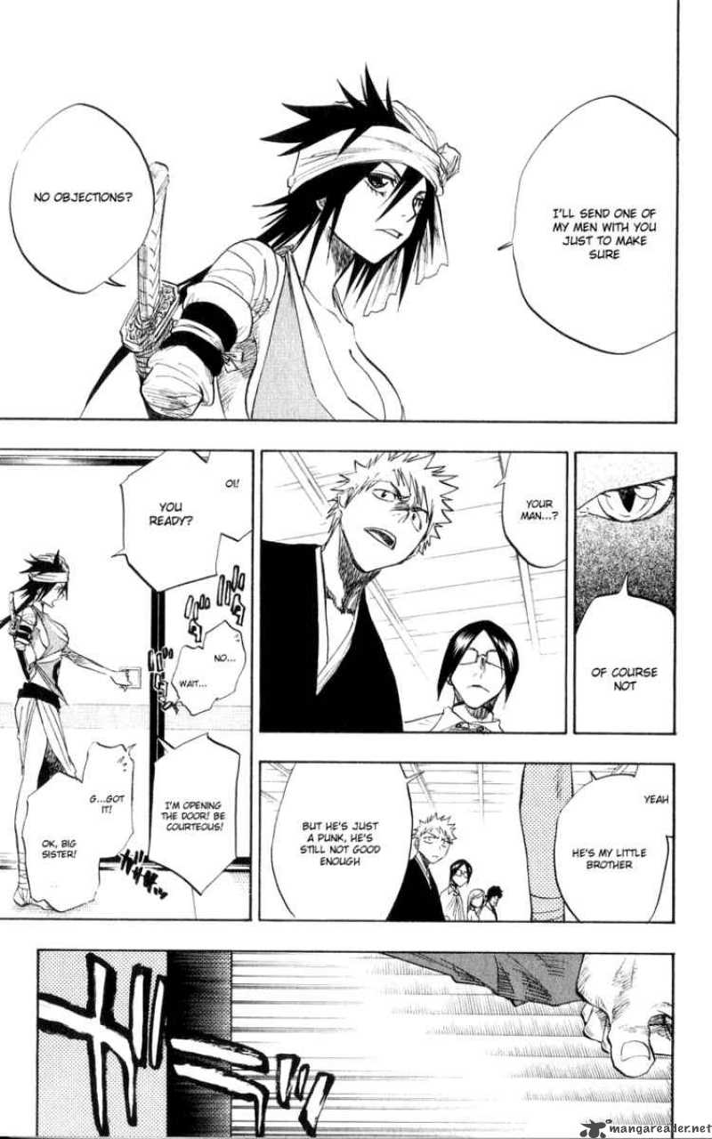 Bleach 78 17