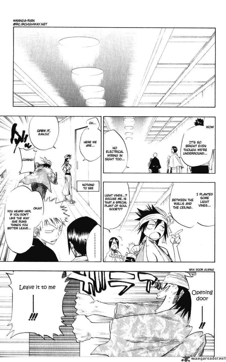 Bleach 79 17