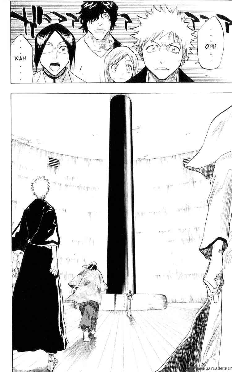 Bleach 79 18