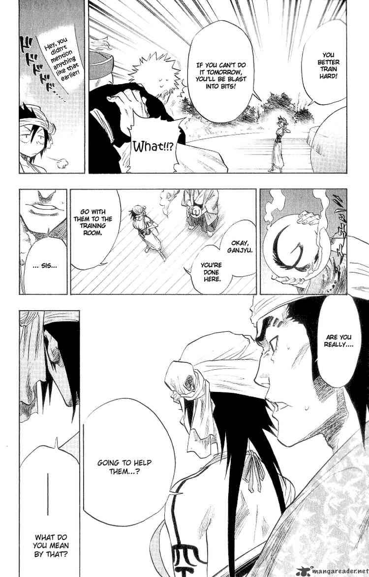 Bleach 80 17