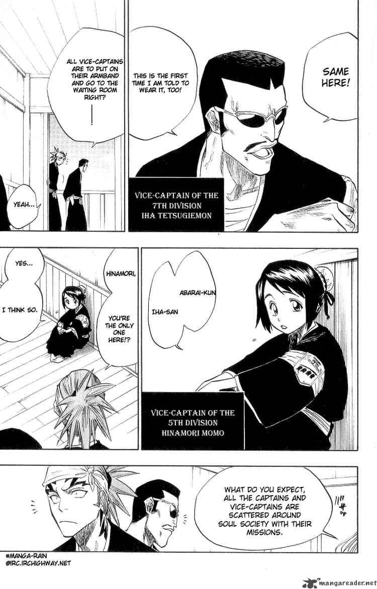 Bleach 80 20