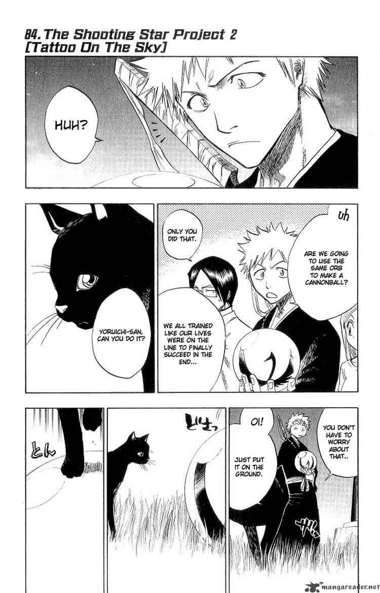 Bleach 84 1
