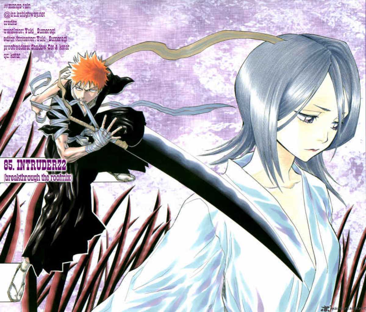 Bleach 85 2