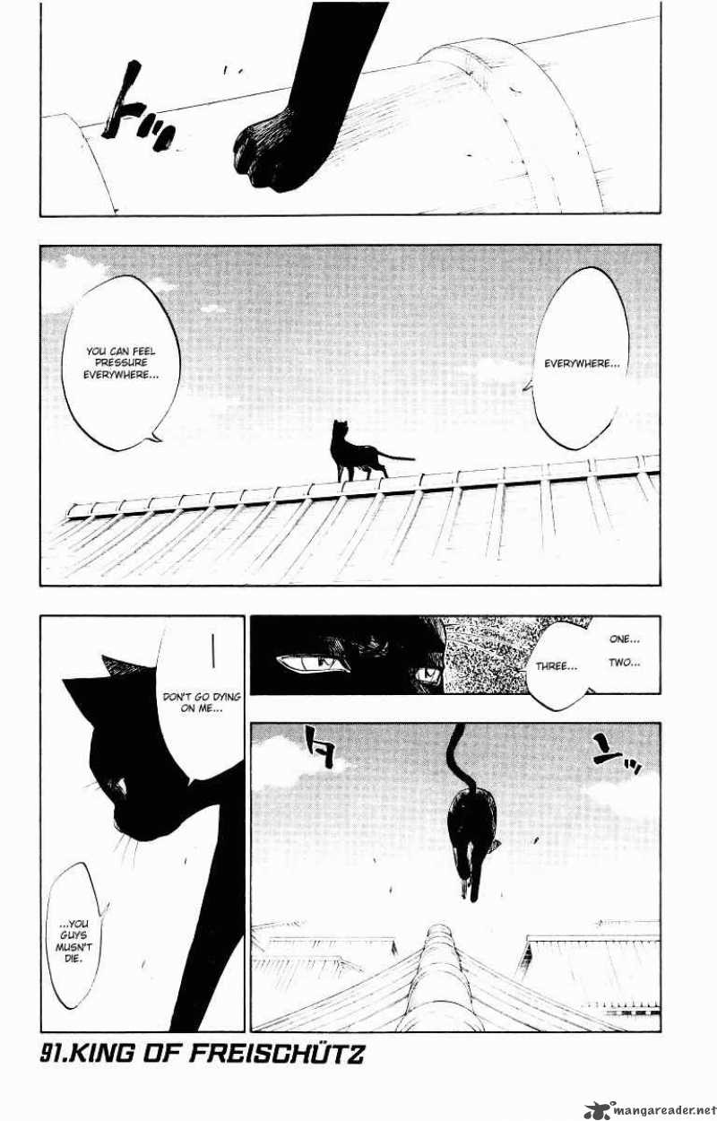 Bleach 91 1