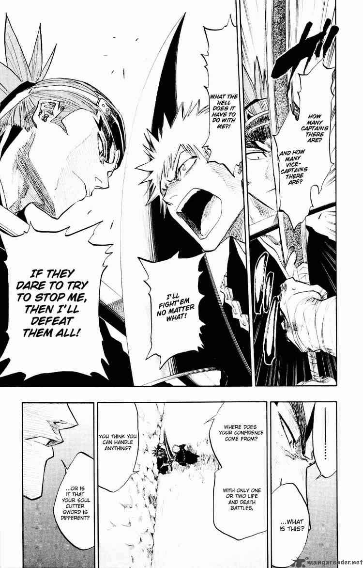 Bleach 95 13