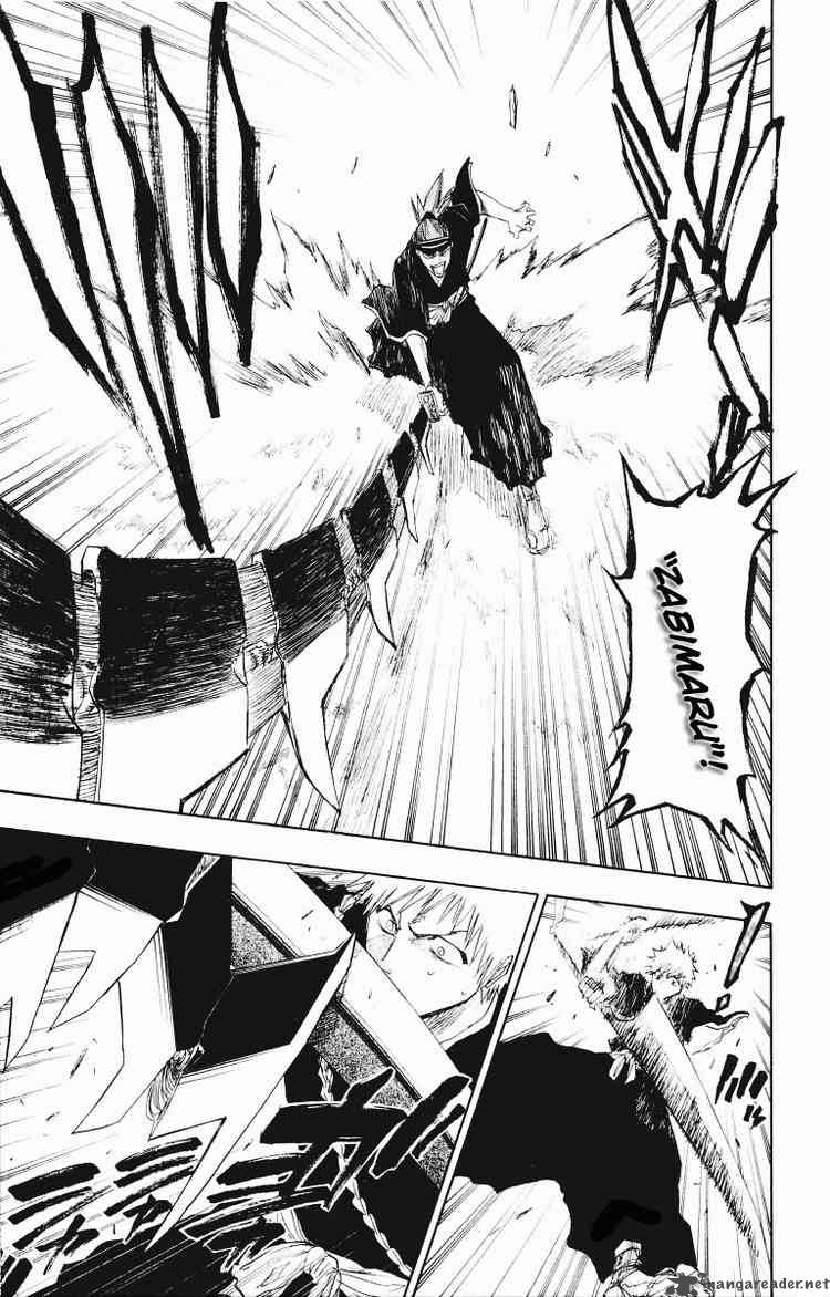 Bleach 95 15