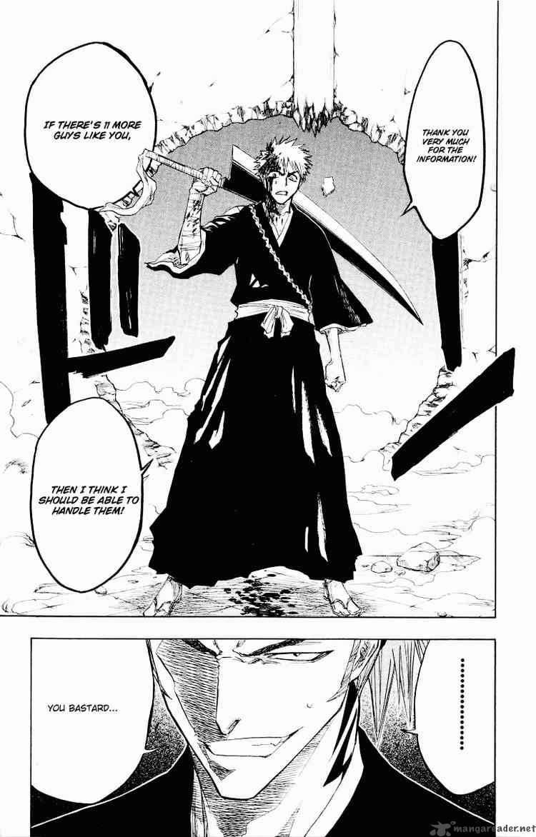 Bleach 95 19