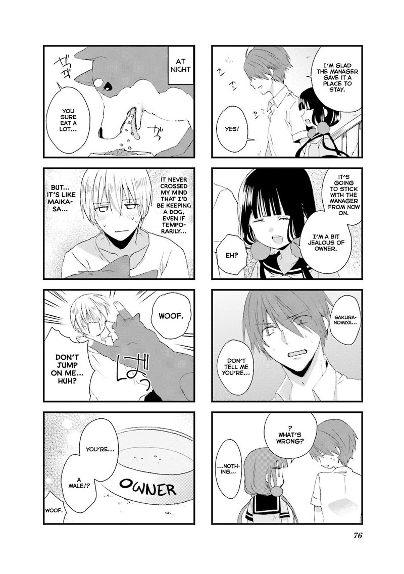 Blend S 22 8