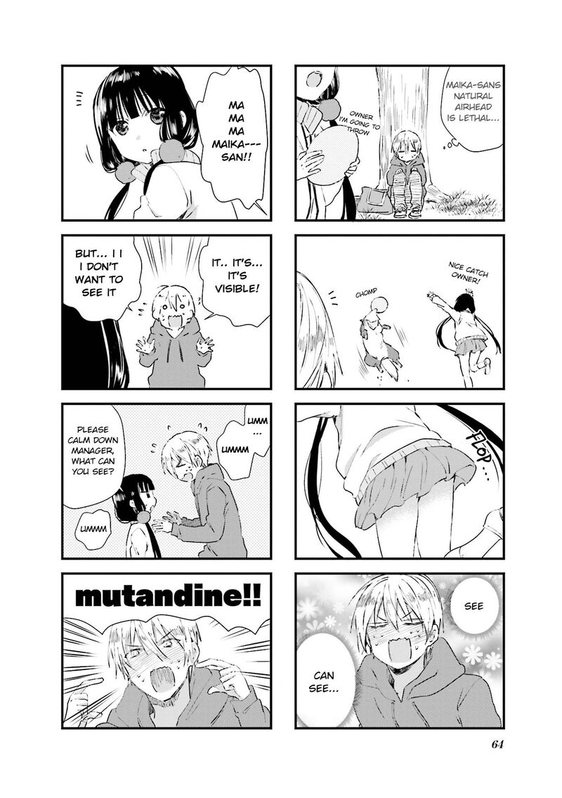 Blend S 35 4