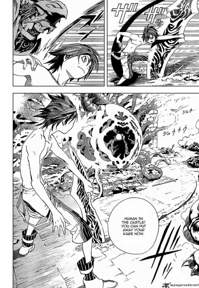 Blue Dragon Ral Grado 4 17