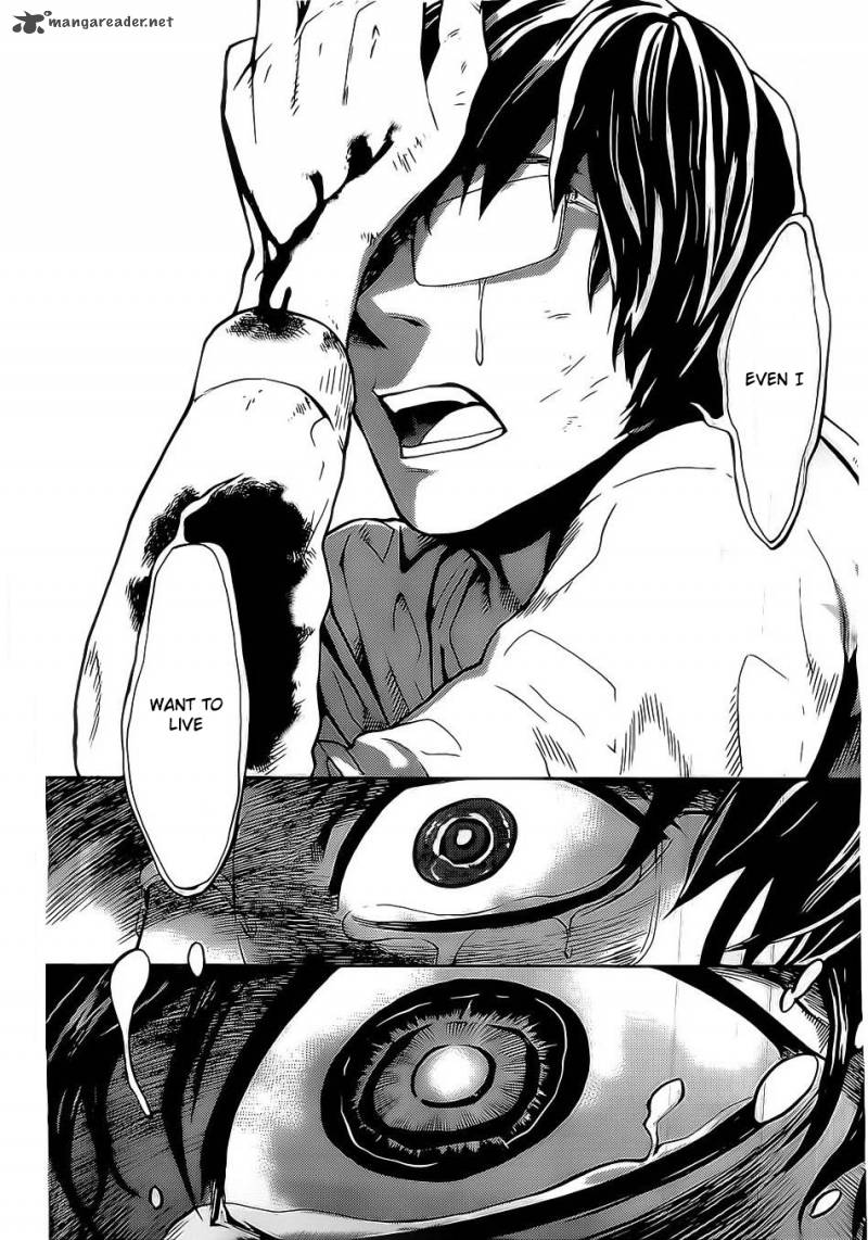 Bocchiman 1 43