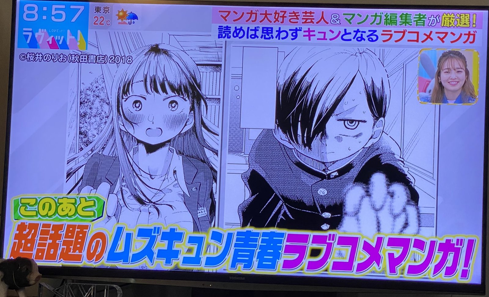 Boku No Kokoro No Yabai Yatsu 95a 2