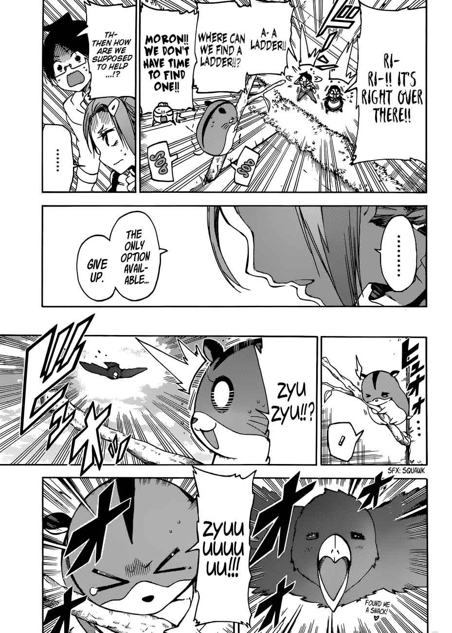 Bokutachi Wa Benkyou Ga Dekinai 71 13