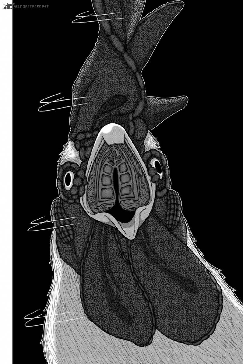Bougyaku No Kokekko 1 40