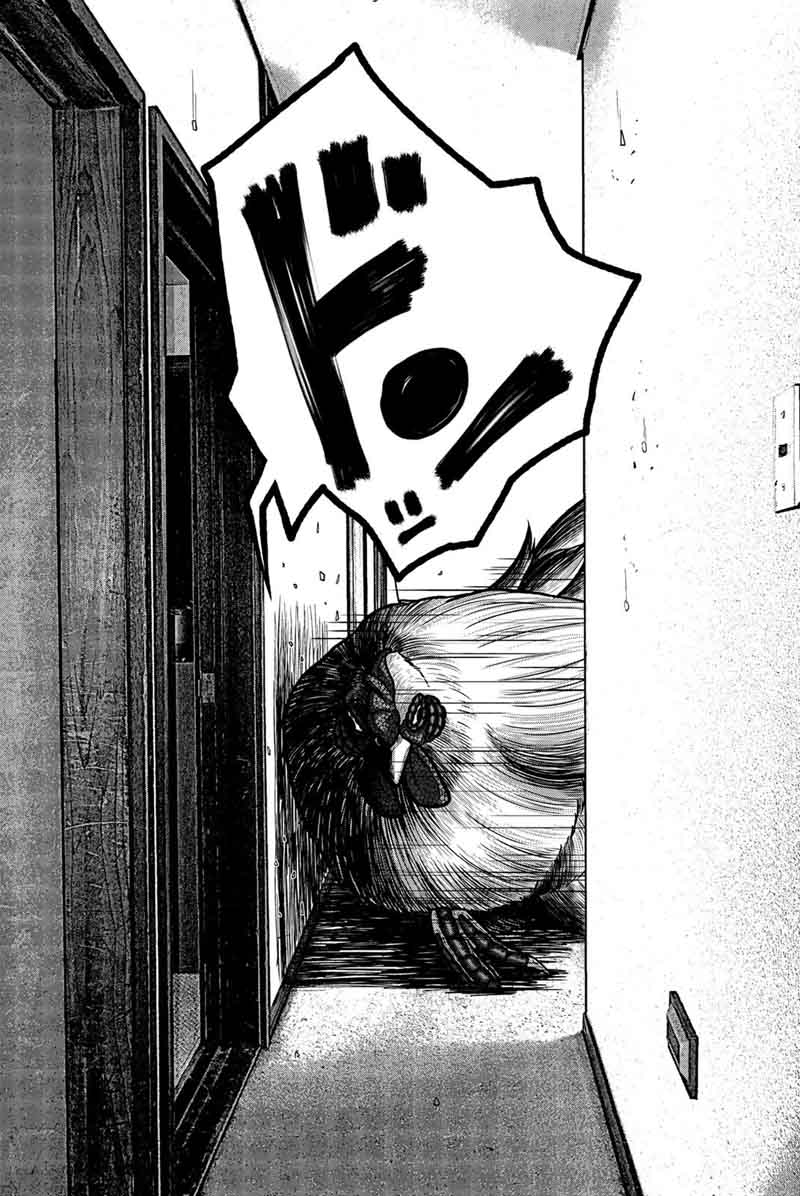 Bougyaku No Kokekko 12 16