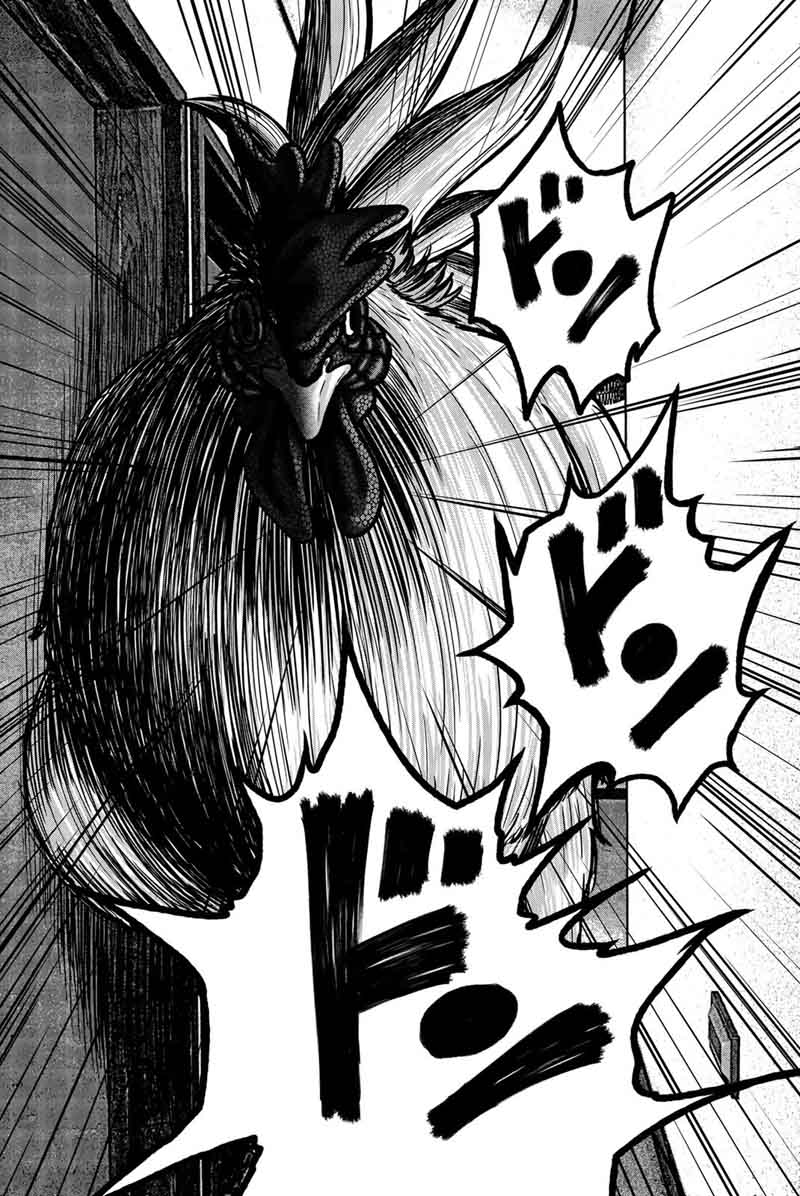 Bougyaku No Kokekko 12 17