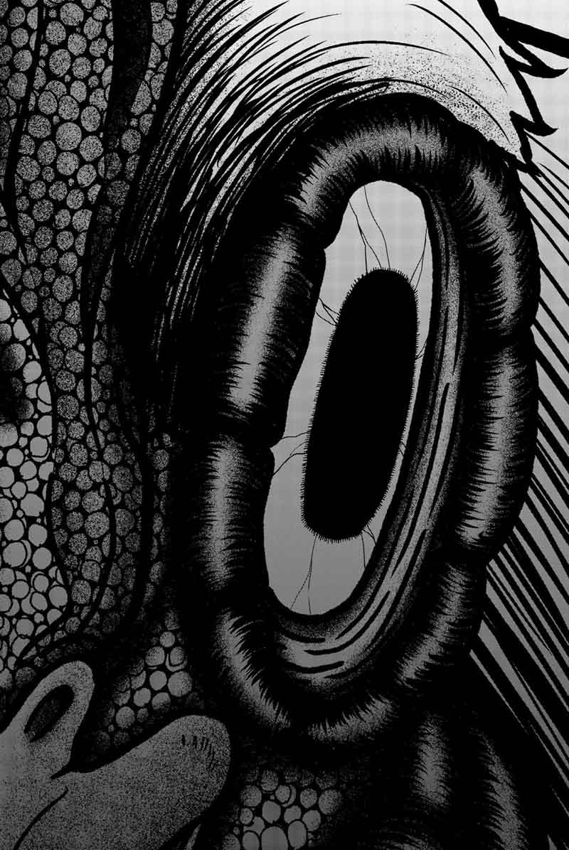 Bougyaku No Kokekko 12 19