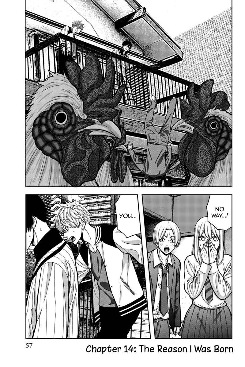 Bougyaku No Kokekko 14 1