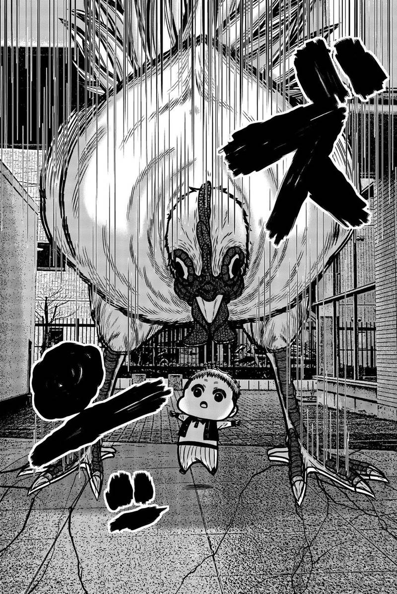 Bougyaku No Kokekko 27 12
