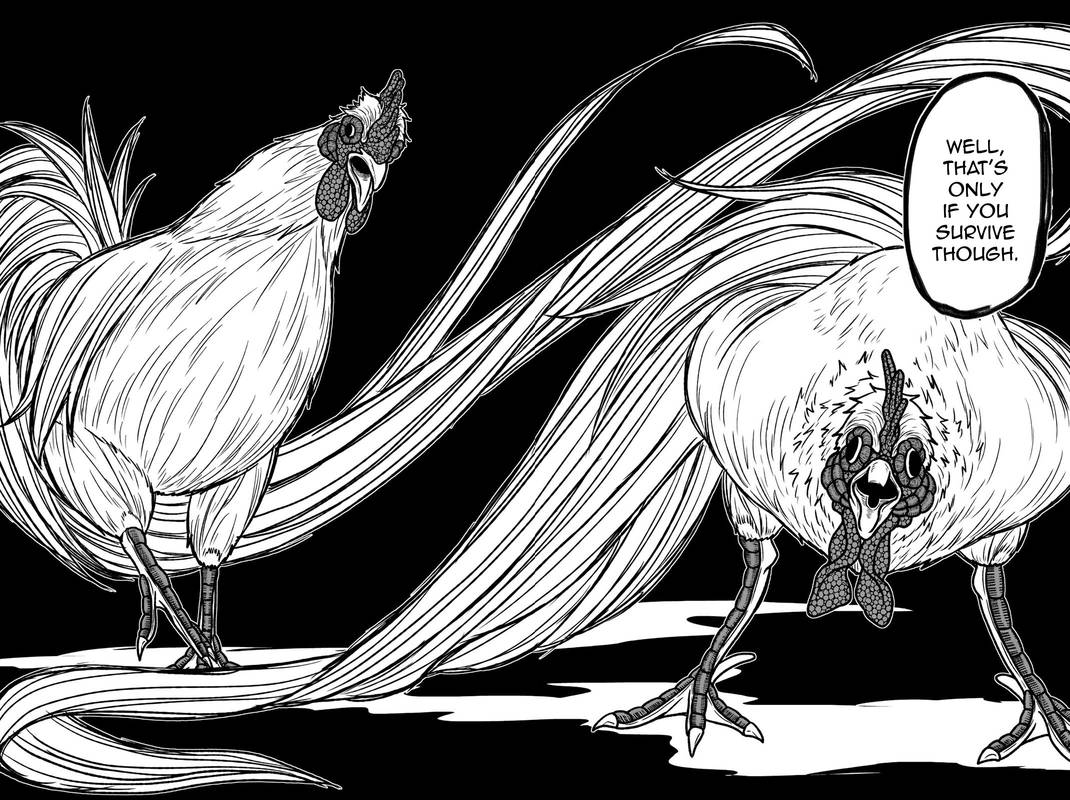 Bougyaku No Kokekko 47 16