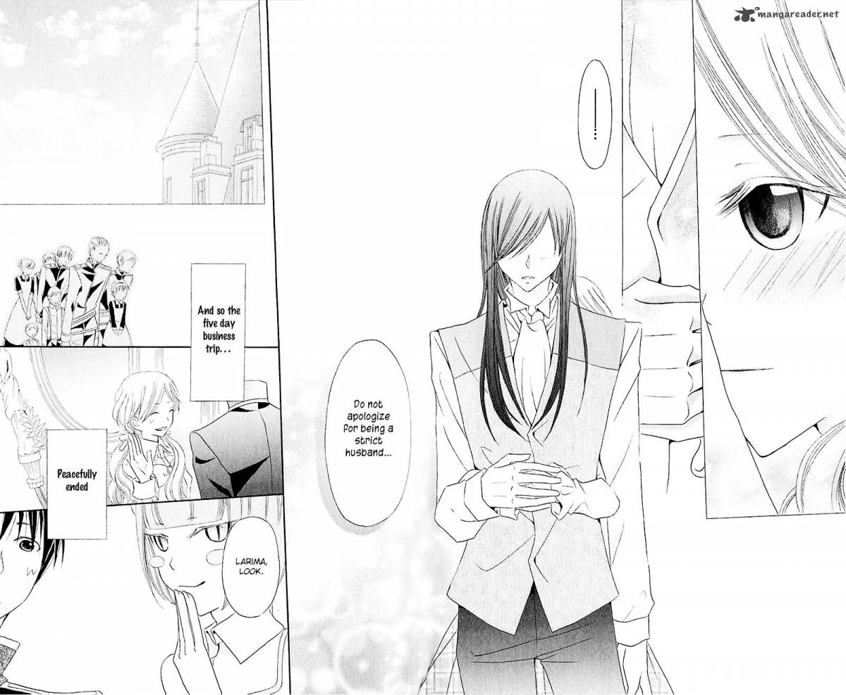 Boukyaku No Shirushi To Hime 13 32