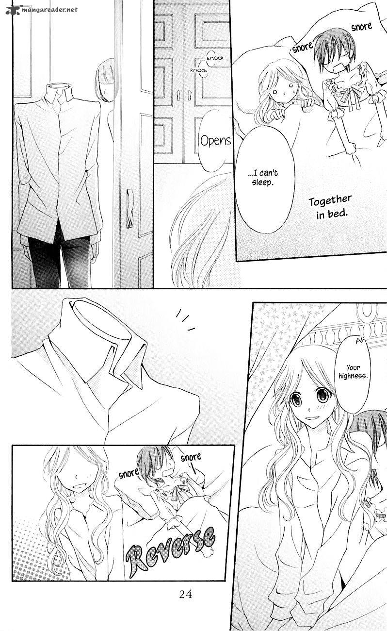 Boukyaku No Shirushi To Hime 16 29