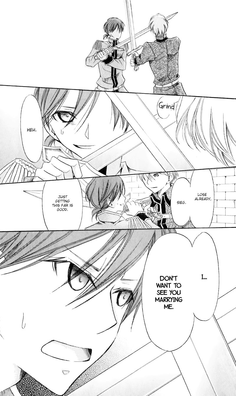 Boukyaku No Shirushi To Hime 20 8