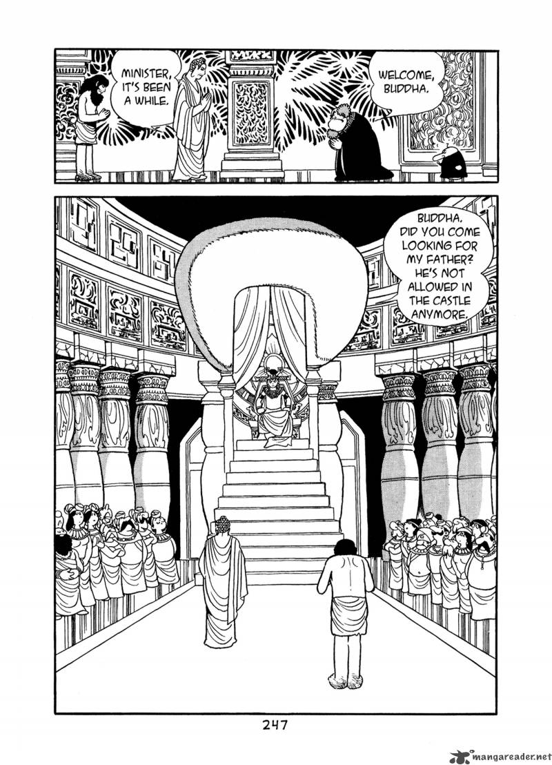 Buddha 8 245
