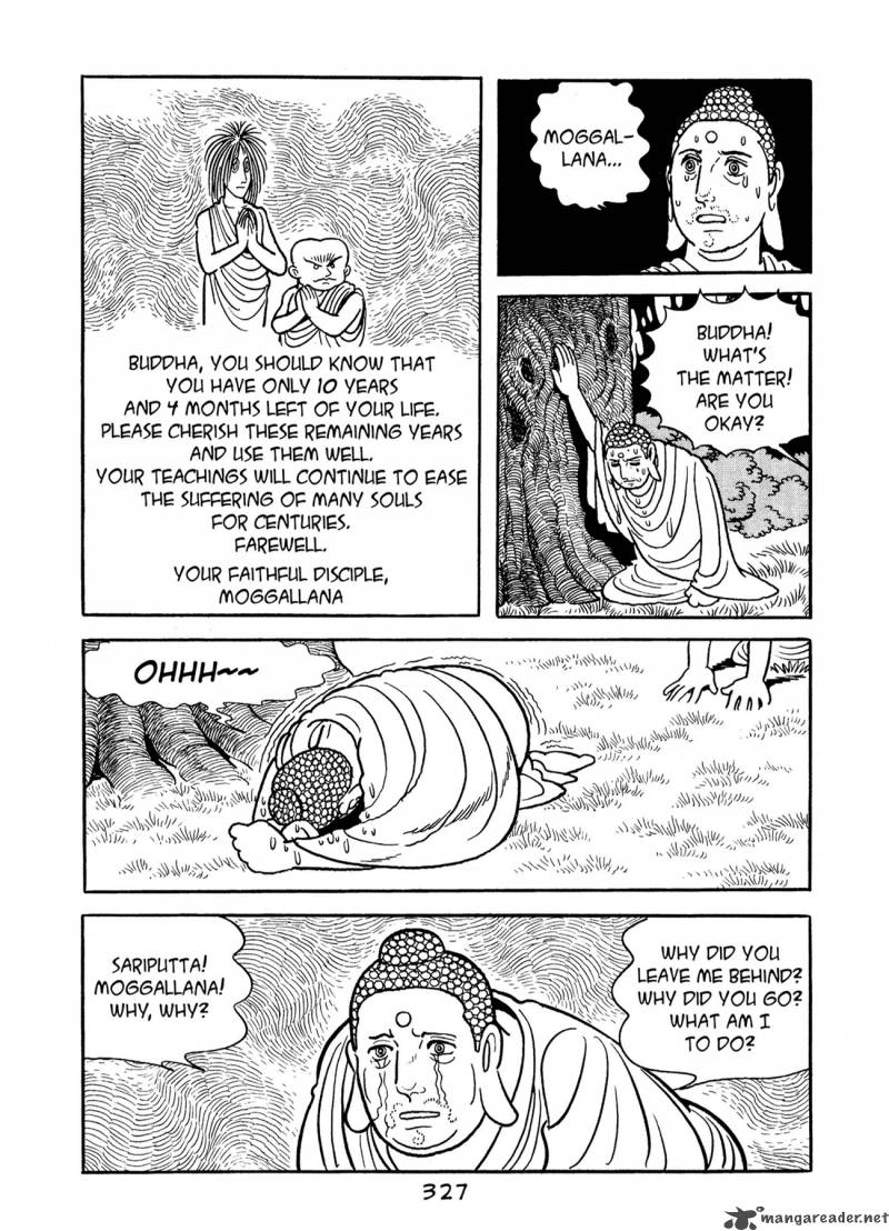 Buddha 8 325