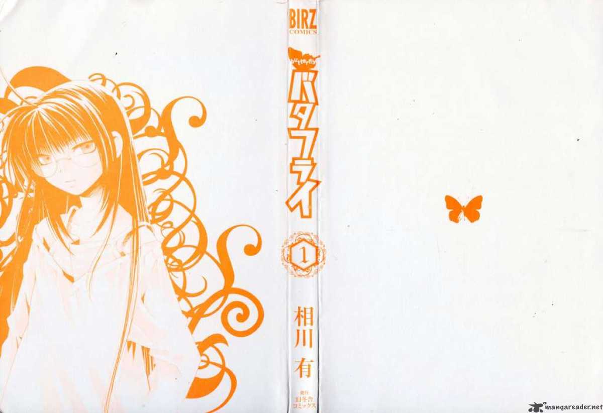 Butterfly 1 28