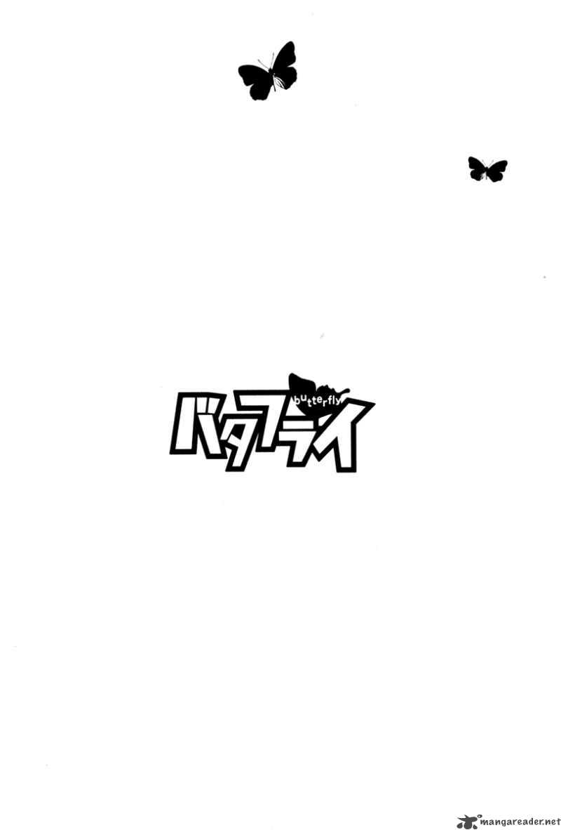 Butterfly 13 3