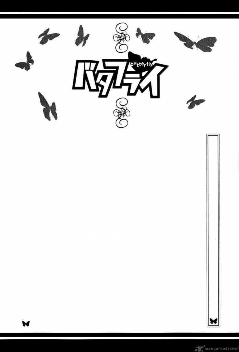 Butterfly 19 4