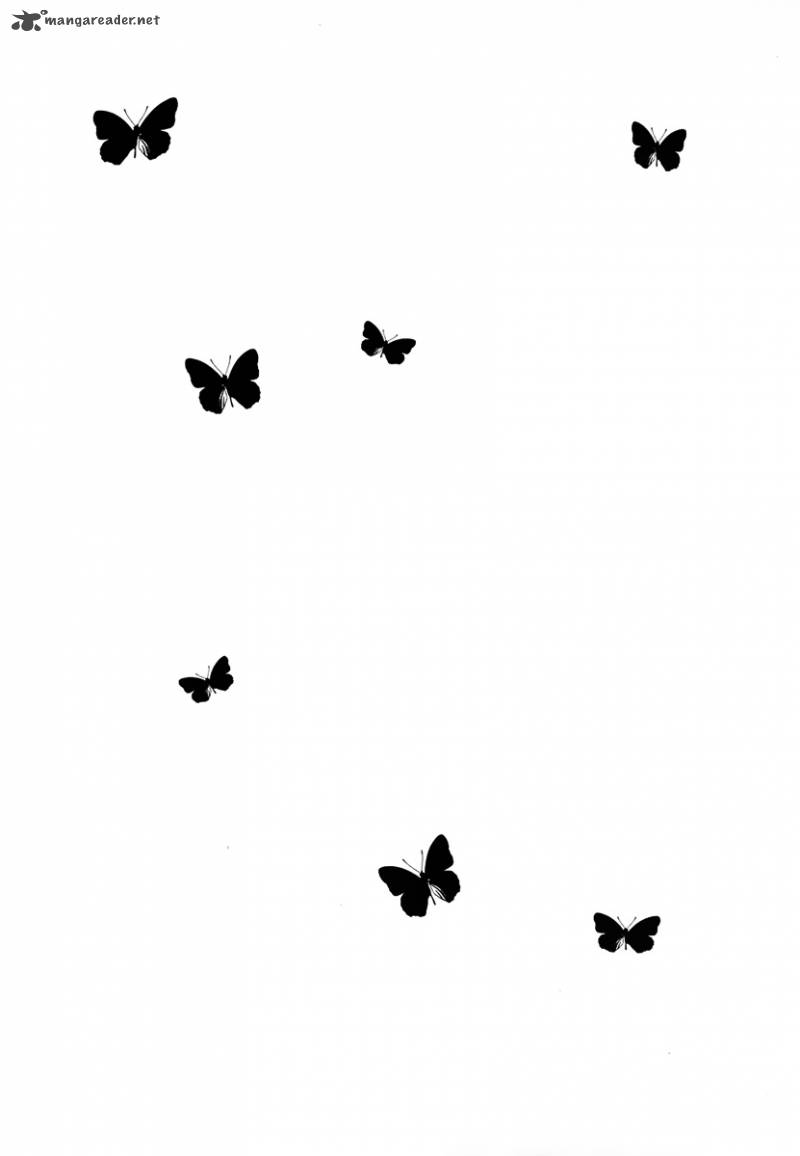 Butterfly 30 24
