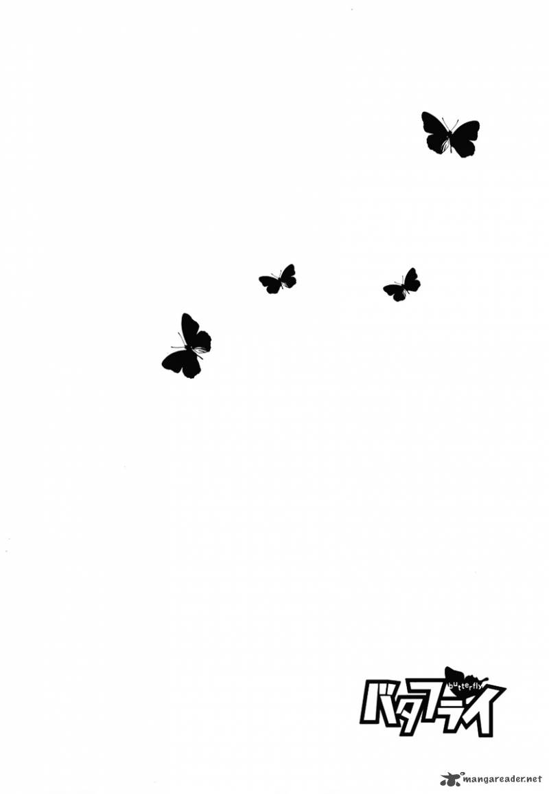 Butterfly 30 25