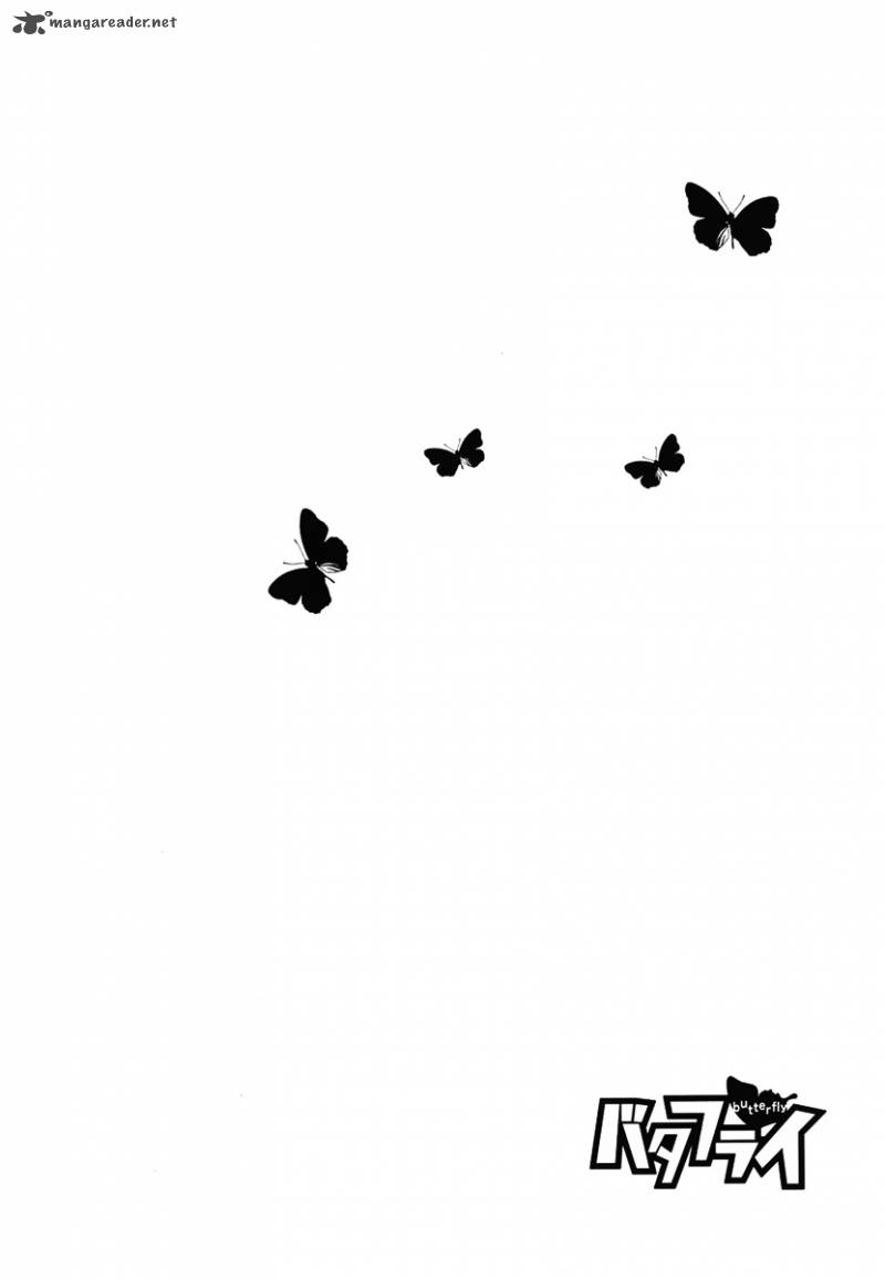 Butterfly 30 3
