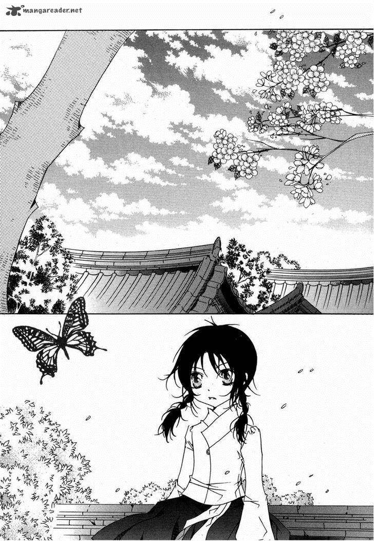 Butterfly 40 2