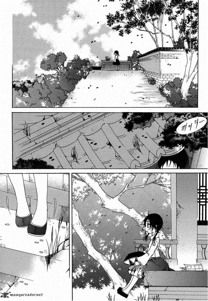 Butterfly 40 4