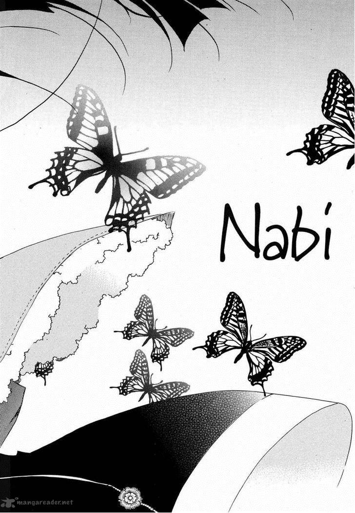 Butterfly 46 2