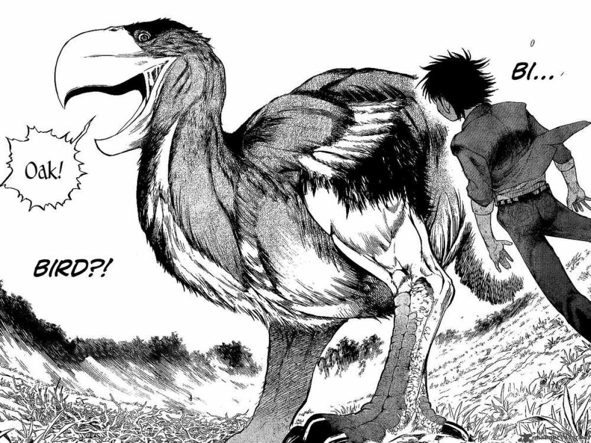 Cage Of Eden 1 44