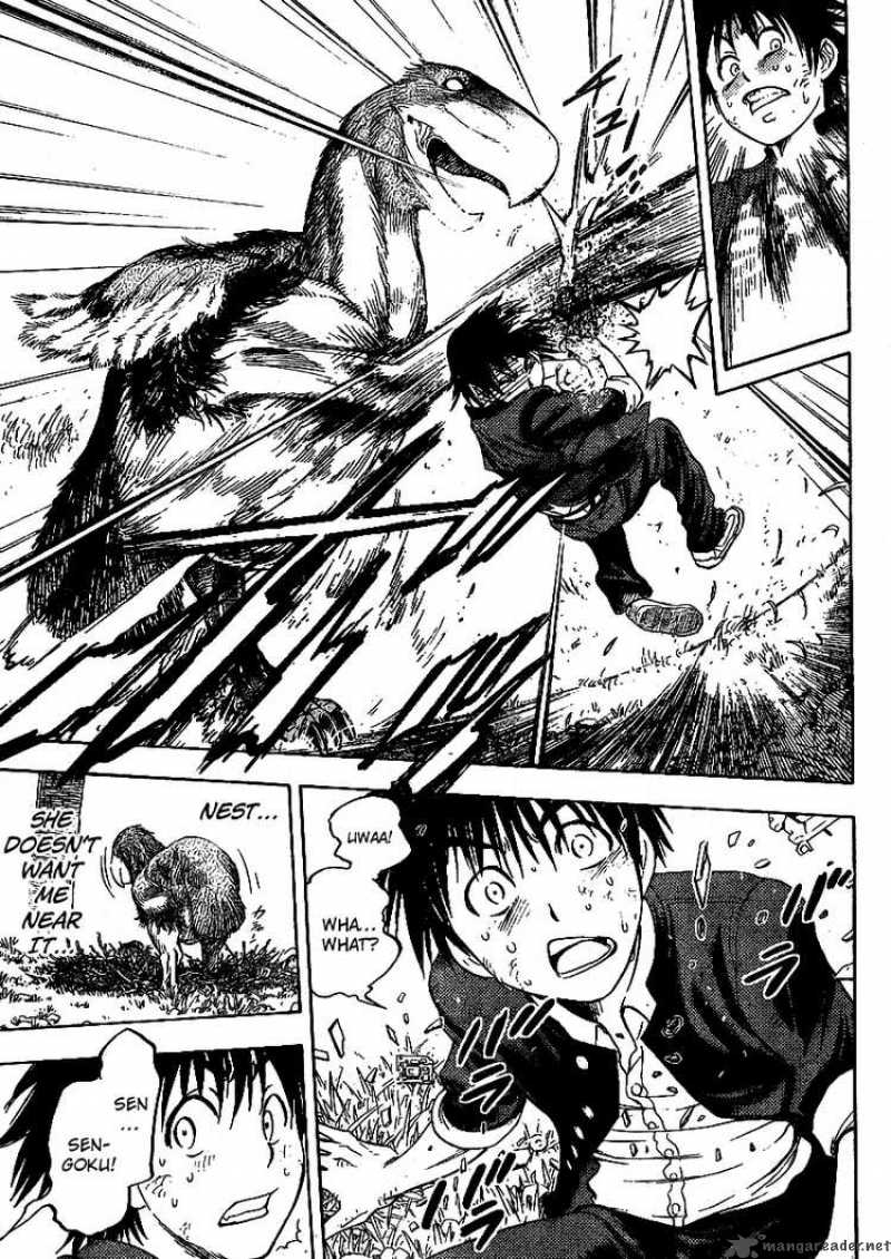 Cage Of Eden 1 46